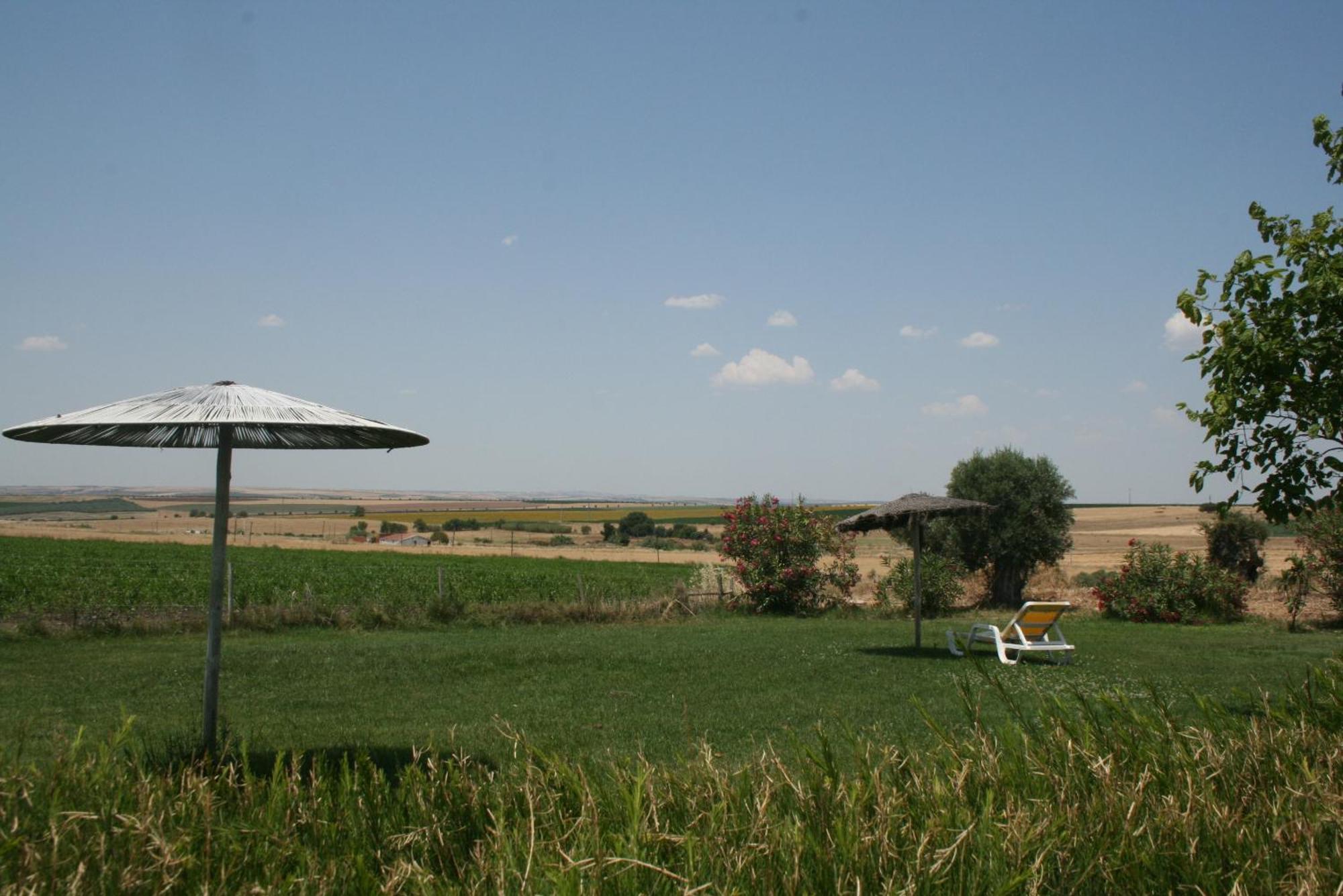 Monte Da Morena Agro-Turismo Serpa Zewnętrze zdjęcie
